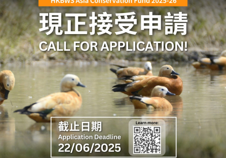 香港觀鳥會亞洲自然保育基金2025-2026現正接受申請 HKBWS Asia Conservation Fund 2025-2026 applications are now open